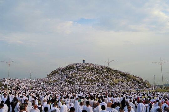 صورة الجولة 4