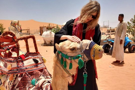 صورة الجولة 1